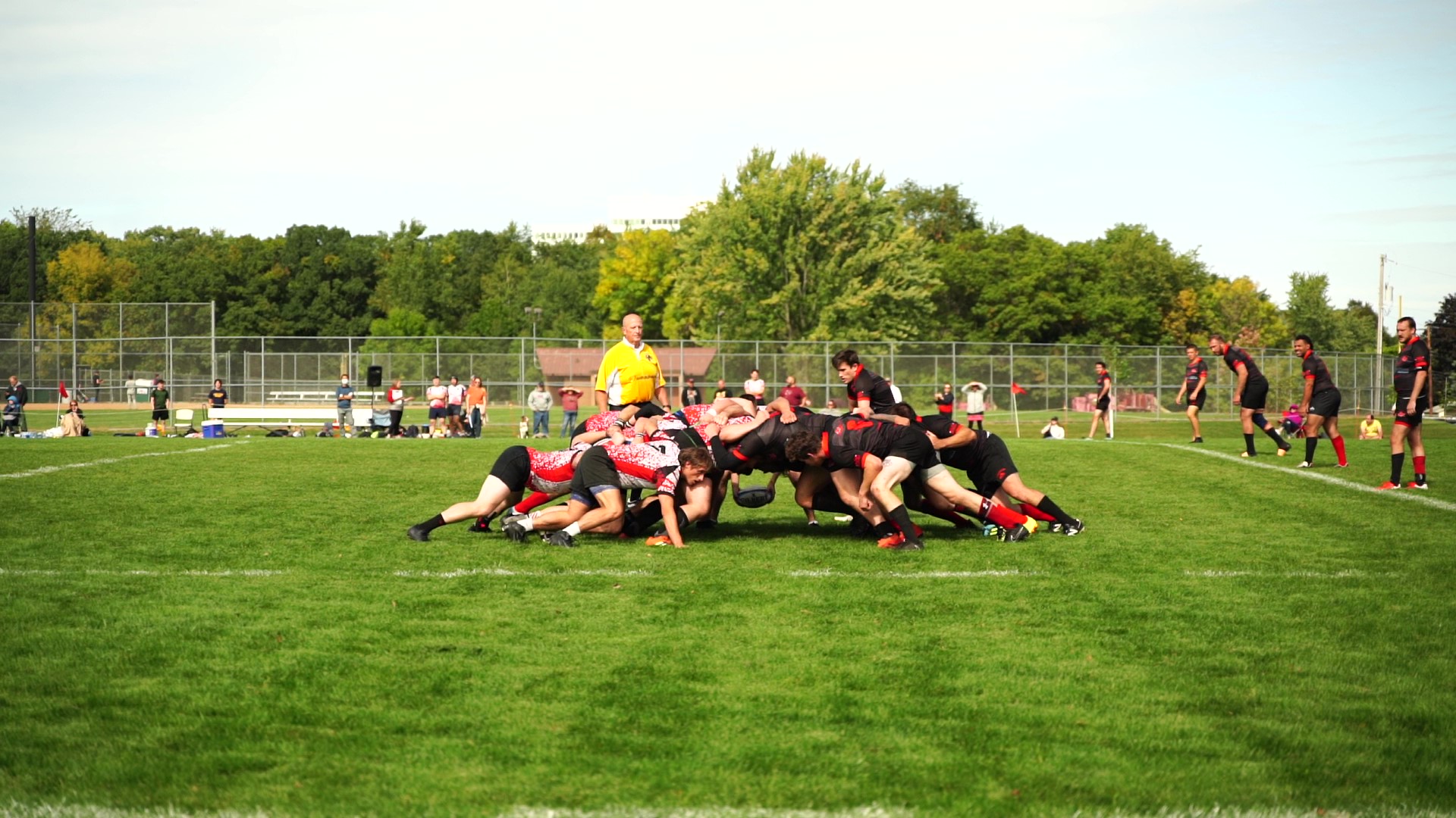 Rugby in Minnesota